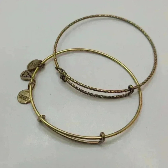 Set of 2 Alex & Ani bangles in bronze Goldtone - Picture 1 of 4